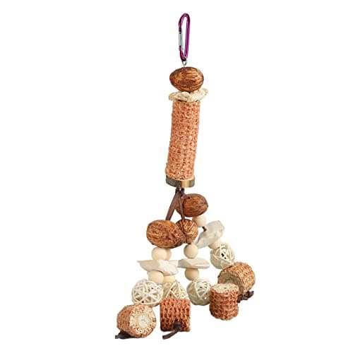 Zerodis Rattan Ball Corn Cob Chew Toys for African Grey Parrots, Macaws, Cockatoos