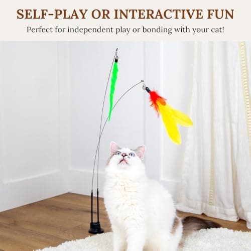 Interactive Cat Toys for Indoor Cats