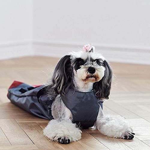 Wear-Resisting Drag Bag for Disabled Pets, Durable Oxford Recovery Carrier