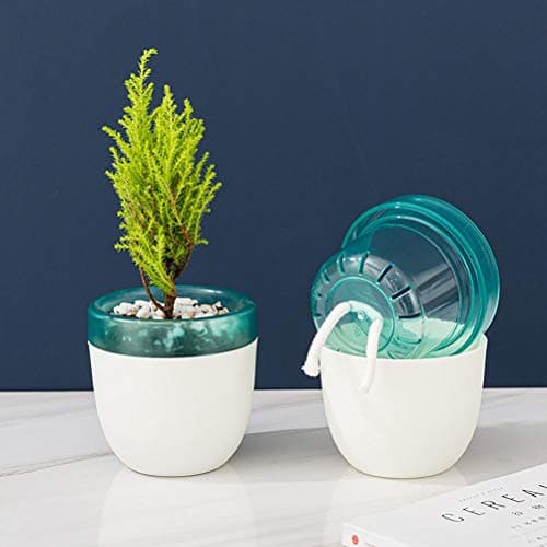 Self-Watering African Violet Pot, Double Layer Design, Black/White Mini Office Home Gardening