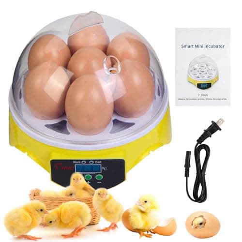7-Egg Incubator with 360° View and Manual Temp Control for Hatching Eggs