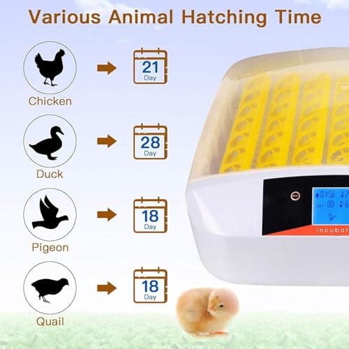 55 Egg Incubator with Humidity Display & Automatic Turner for Hatching Chickens