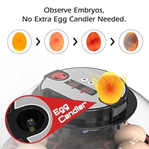 Smart Automatic Turner Incubator for Hatching 12 Eggs (M12 Pro)