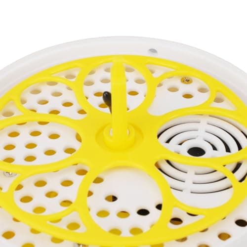 Automatic Egg Incubator for Chickens Ducks Pigeons, Holds 4 Chicken & 4 Quail Eggs