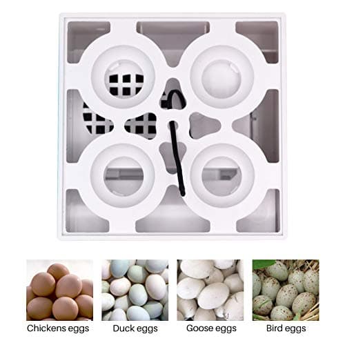 Digital Egg Incubator with Automatic Humidity Control for Professional Hatching