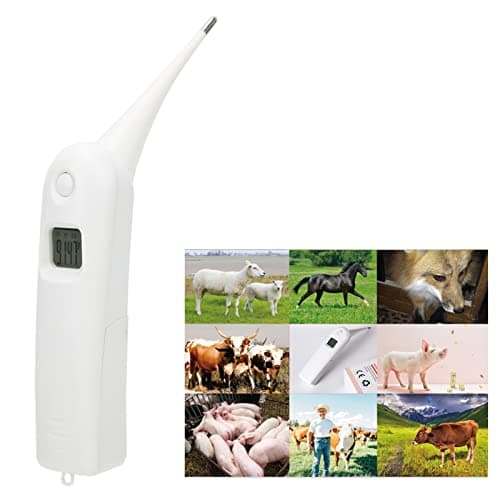 Zerodis LCD Digital Veterinary Thermometer for Pets with Memory Function