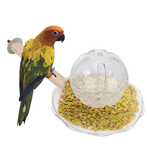Creative Bird Foraging Ball Swing Toy for Training Feeding Fun