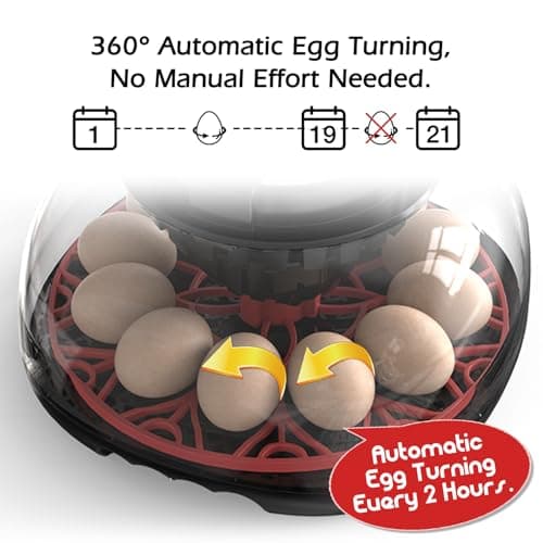 Smart Automatic Turner Incubator for Hatching 12 Eggs (M12 Pro)