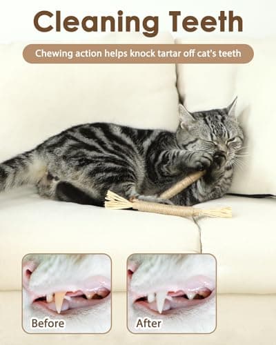 Tocirelo Silvervine Chew Sticks for Cats - 6 Pack Natural Dental Care Toy for Indoor Kittens