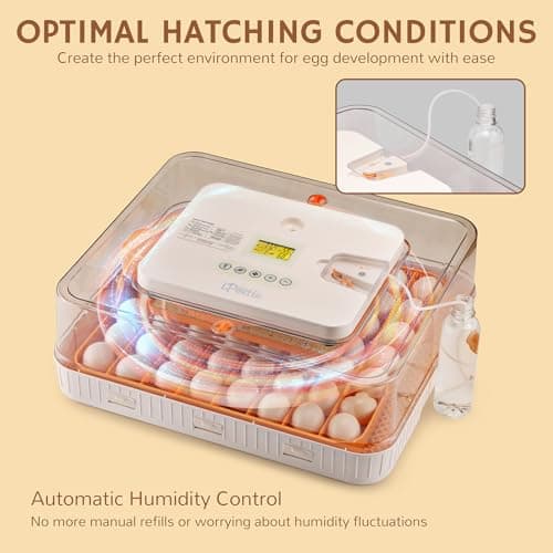 Nestasy ProHatch56 Egg Incubator with Automatic Turning and Control