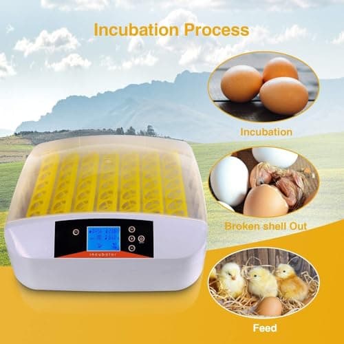 55 Egg Incubator with Humidity Display & Automatic Turner for Hatching Chickens
