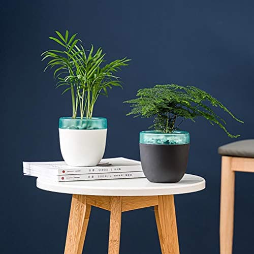 Self-Watering African Violet Pot, Double Layer Design, Black/White Mini Office Home Gardening