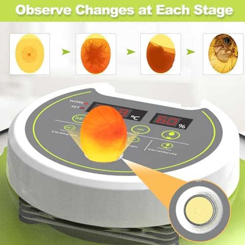 Automatic Egg Turning Incubator for Hatching Chicks, Ducks, and More