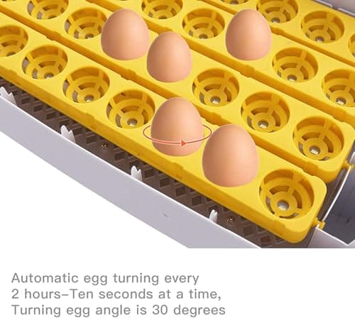 55 Egg Incubator with Humidity Display & Automatic Turner for Hatching Chickens