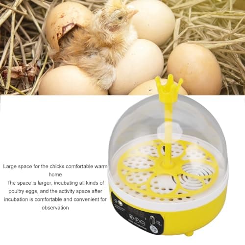 Automatic Egg Incubator for Chickens Ducks Pigeons, Holds 4 Chicken & 4 Quail Eggs