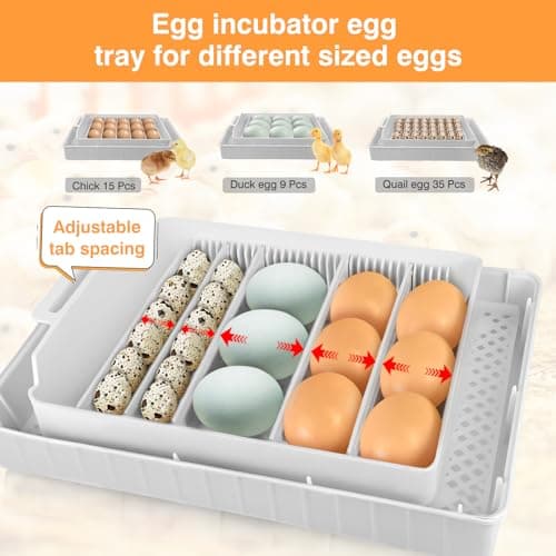 15-35 Egg Incubator with Auto Turning & LED Temp Display for Poultry (Blue)