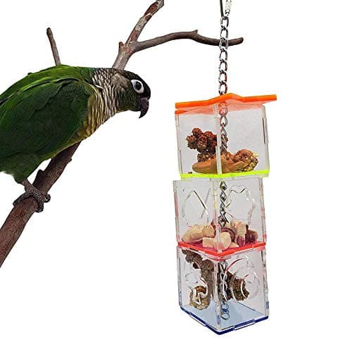 Parrot Foraging Ball & Swing Toy Feeding Kit