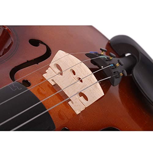 Ktaxon Full Size Acoustic Violin Kit with Case, Bow, and Rosin for Beginner Students