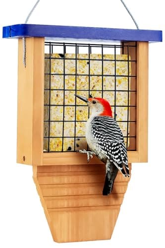 Woodpecker Tail Prop Suet Feeder, Blue, Hanging Outside