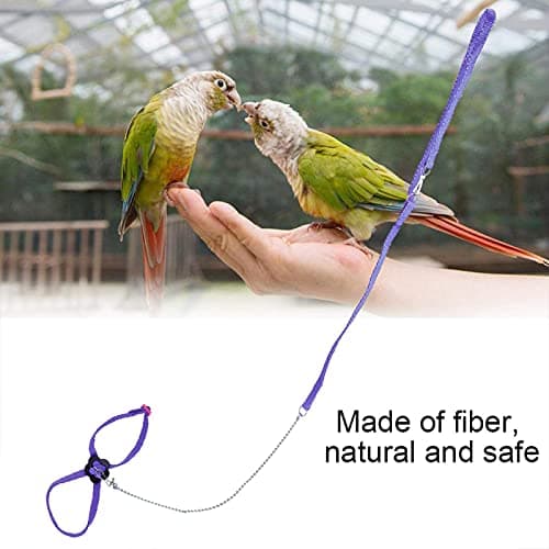 Bird Flying Rope for Macaw, African Greys, Parakeets Outdoor Training()