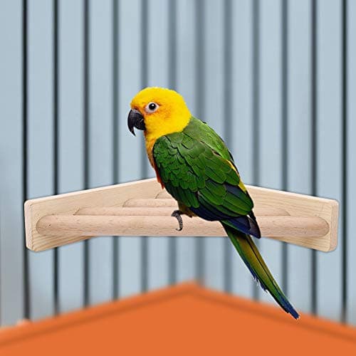 Wooden Standing Ladder Perch for Cage Birds Bridge Bridges