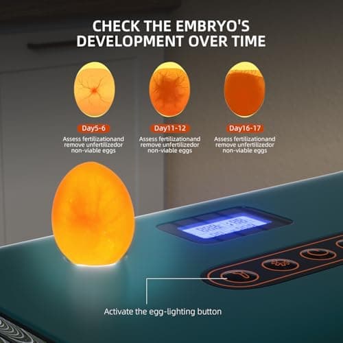 YouTeMei 36-Egg Automatic Turning & Humidity Control Incubator