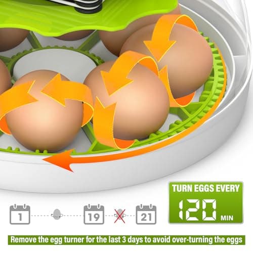 Automatic Egg Turner Chicken Incubator with Humidity Control, Holds 8 Eggs