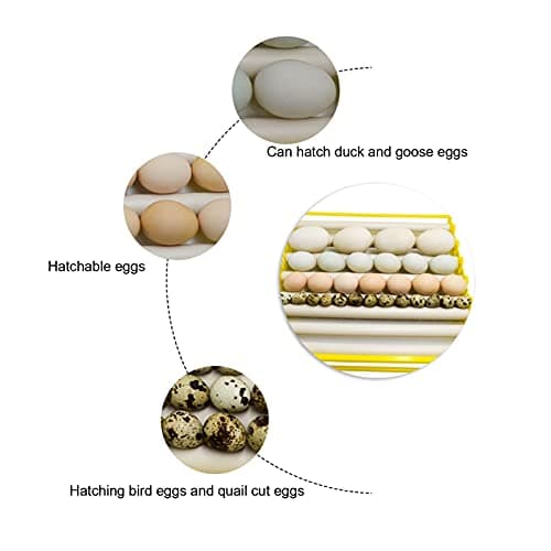 Zerodis Hatching Machine, 110V 56 Small Home Automatic Intelligent Incubator for Chicken, Goose, and Bird Eggs