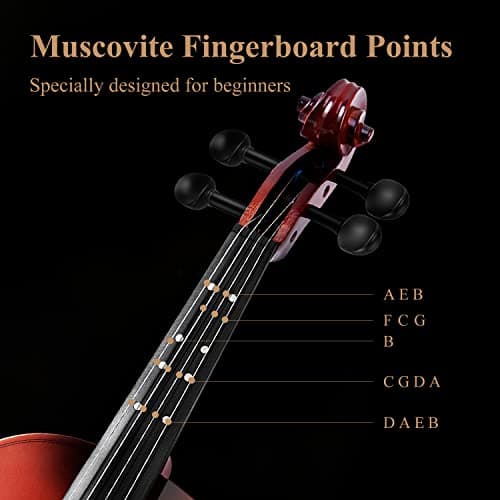 Eastar 3/4 Violin Kit for Beginners with Case, Rosin, Shoulder Rest, Bow, and Strings