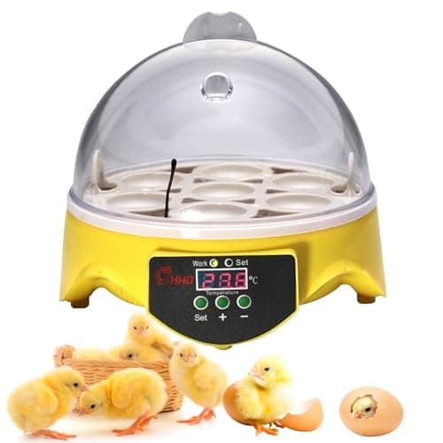 7-Egg 360° View Poultry Incubator, Temperature Controlled, Yellow, ZM003