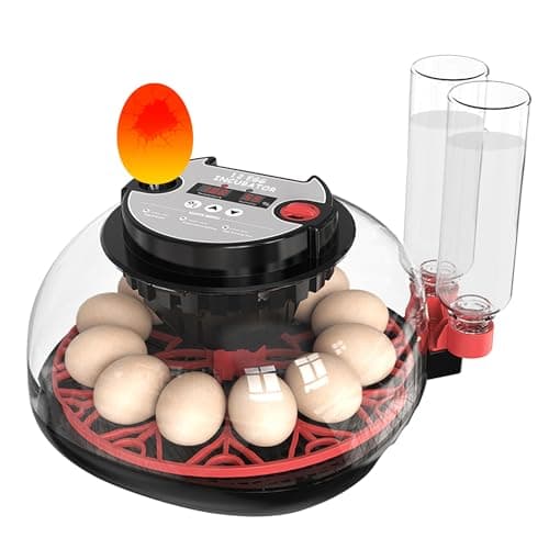 12 Egg Incubator with Temp Control, Humidity Display & Automatic Turner/Candler & Water Refill for Hatching