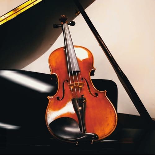 Natural Acoustic 4/4 Violin for Beginners Full Sized Musical Instruments