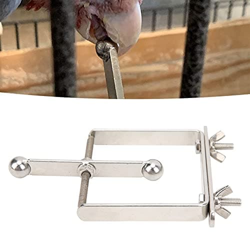 Zerodis Stainless Steel Bird Toy for Training and Chewing Intelligence Improvement