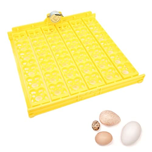 Zerodis Egg Incubator, Automatic Egg Turner for Home and Children