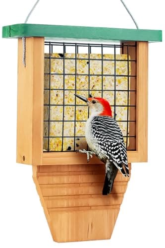 Woodpecker Tail Prop Suet Feeder, Blue, Hanging Outside — Green