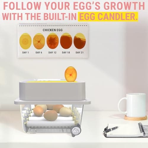 12-Egg Okkobi OBI-12 Incubator with Automatic Turning & Humidity Control