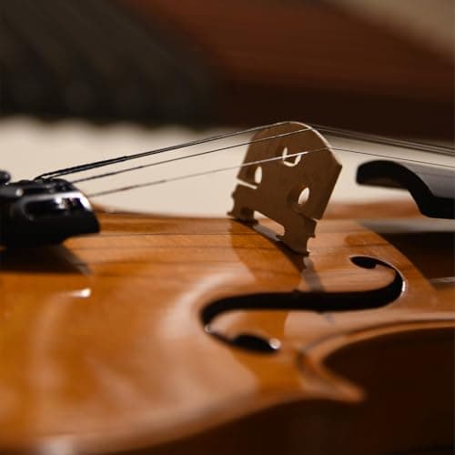 Natural Acoustic 4/4 Violin for Beginners Full Sized Musical Instruments