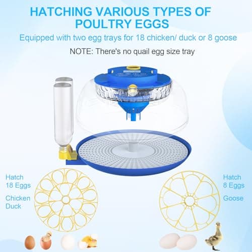 18 Egg Incubators with Automatic Turning & Temperature Control