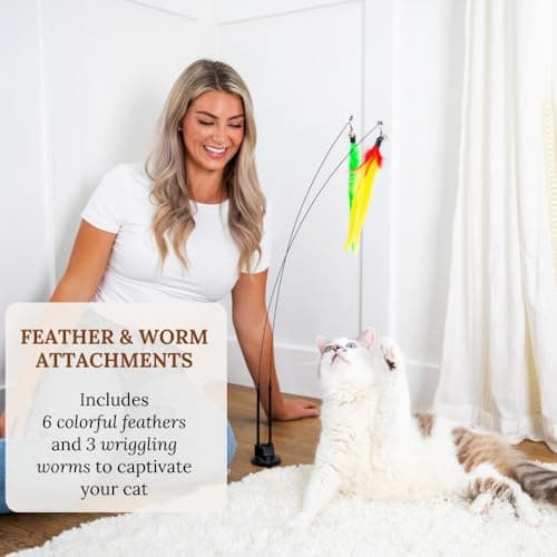 Interactive Cat Toys for Indoor Cats