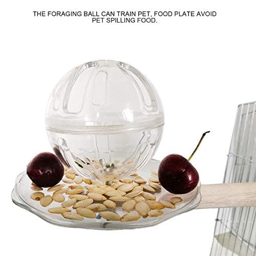 Creative Bird Foraging Ball Swing Toy for Training Feeding Fun