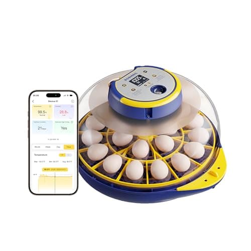 21-Egg Incubator with Temperature & Humidity Control, Automatic Turning, Blue
