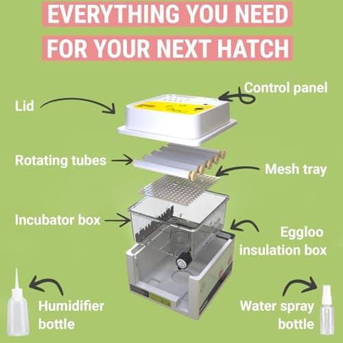 12-Egg Okkobi OBI-12 Incubator with Automatic Turning & Humidity Control
