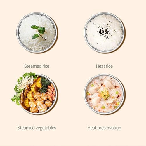 Electric Lunch Box Food Heater for School and Office Travel