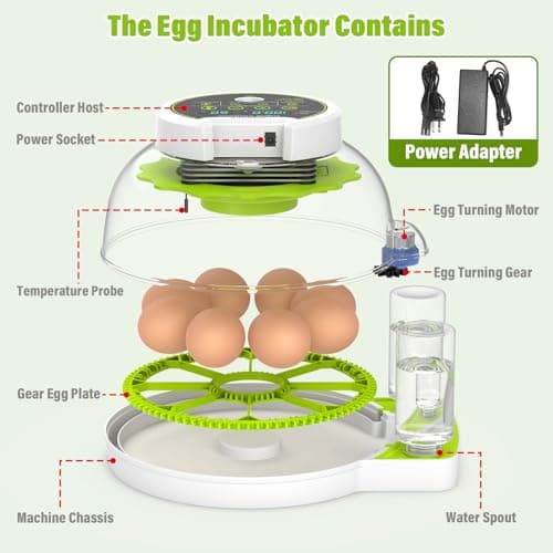 Automatic Egg Turner Chicken Incubator with Humidity Control, Holds 8 Eggs