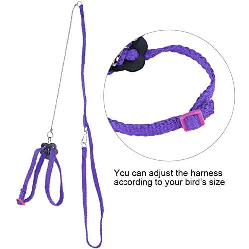 Bird Flying Rope for Macaw, African Greys, Parakeets Outdoor Training()
