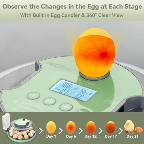 InIcubator 18 Egg Incubator with Auto Turning & Humidity Control - 360° Clear View for Hatching