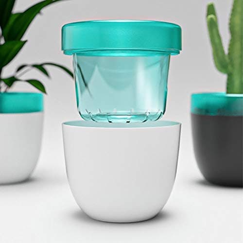 Self-Watering African Violet Pot, Double Layer Design, Black/White Mini Office Home Gardening