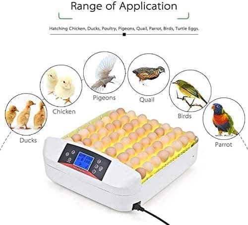 55 Egg Incubator with Humidity Display & Automatic Turner for Hatching Chickens
