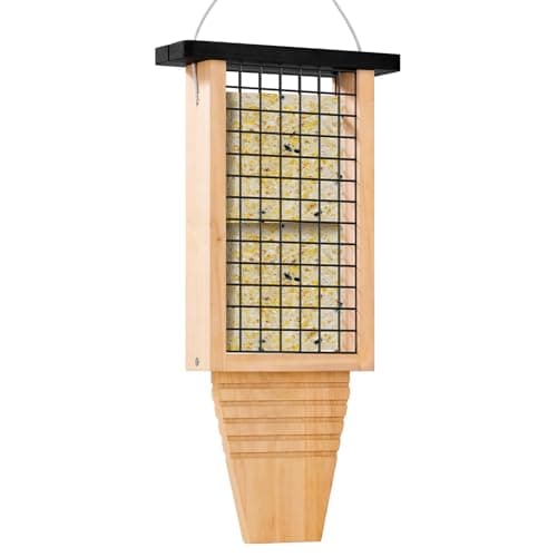 Woodpecker Tail Prop Suet Feeder, Blue, Hanging Outside — Black