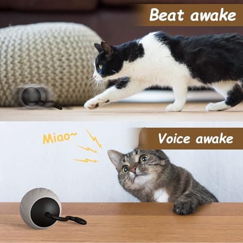 Interactive Cat Toy for Indoor Cats: DIY Moving Cat Ball Toy with LED Lights